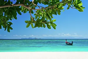 Concept: Tropical island nature background. Vacation, tra
