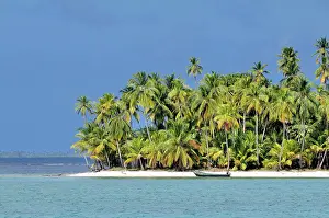 Arecaceae: Tropical island with palm trees, Cayos Los Grullos