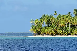 Arecaceae: Tropical island with palm trees, Cayos Los Grullos