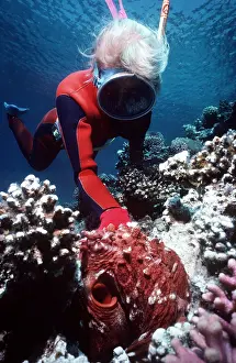 Mimicry: TROPICAL OCTOPUS - with scuba diver