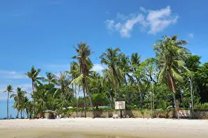 Vacations: Tropical palm tree beach at Hua Hin, Thailand