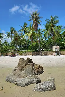 Vacations: Tropical palm tree beach at Hua Hin, Thailand