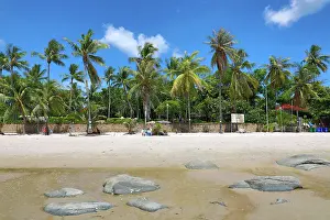Vacations: Tropical palm tree beach at Hua Hin, Thailand