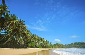 Lankan: Tropical paradise idyllic beach Sri Lanka