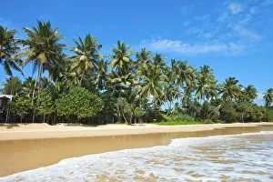 Lankan: Tropical paradise idyllic beach Sri Lanka
