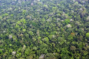 Upstream: Tropical Rainforest - upstream from Puerto Maldonado