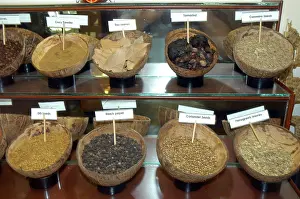 Dill: Tropical spices: selection displayed in coconut shells