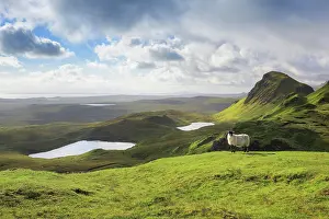 Trotternish: Trotternish, The Quaraig, Isle of Skye, Scotland