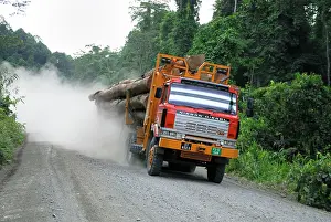 Trucks: Truck with timber from a logging area near the