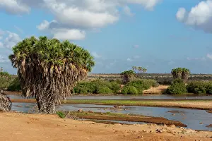 Tsavo: Tsavo River, Tsavo East National Park, Kenya