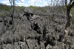 Ridges: Tsingy limestone, Madagascar