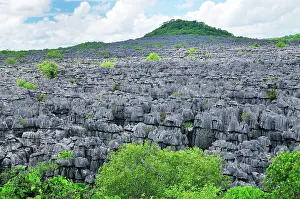 Tsingy: Tsingy - Limestone pinnacles