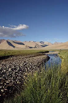 Startsapuk: Tso Kar - Basin view - fresh water stream feeding