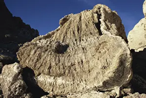 Depositional: Tufa Boulder, Nevada