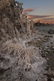 Mono: Tufa Formations, Mono Lake, CA