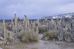 Mono: Tufa Towers at Mono Lake
