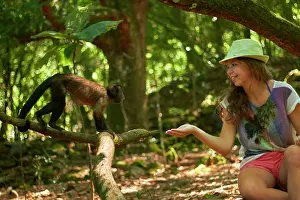 Apella: Tufted Capuchin, Brown Capuchin, Black-capped Capuchin