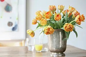 Blended: Tulip