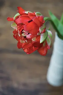 Vase: Tulip