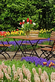 Bouquet: Tulips of table in garden, Keukenhof Gardens