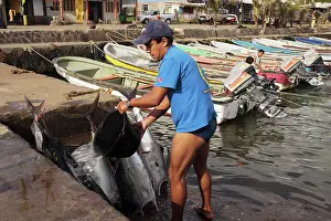 Commerical: Tuna fisherman