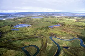 Siberia: Tundra - lakes and rivers - an aerial view from