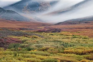 Creepy: Tundra Landscape Autumn Dempster Highway, near Dawson