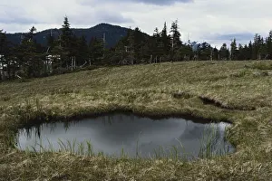 Kettle: Tundra Pothole in Alaska