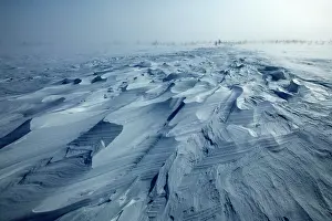 Windswept: Tundra & Taiga - in blizzard