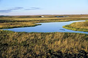 Siberia: Tundra view with a small lake in foreground and