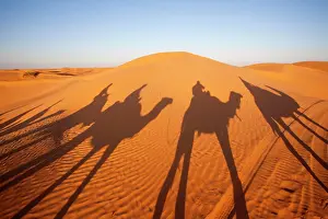 Representation: Tunisia, Ksour Area, Ksar Ghilane, Grand