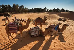 Tunisia: Tunisia, Ksour Area, Ksar Ghilane, Grand