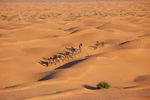 Tunisia: Tunisia, Ksour Area, Ksar Ghilane, Grand