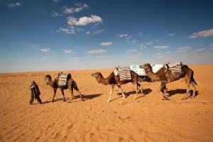 Tunisia: Tunisia, Ksour Area, Ksar Ghilane, Grand