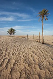 Tunisia: Tunisia, Sahara Desert, Douz, Great Dune