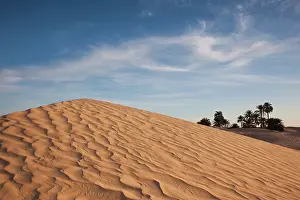 Tunisia: Tunisia, Sahara Desert, Douz, Great Dune