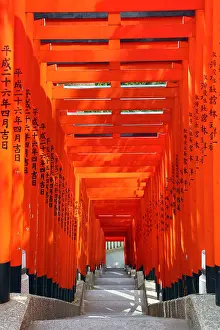 Gates: Tunnel of red Torii gates at the Hie Shrine in