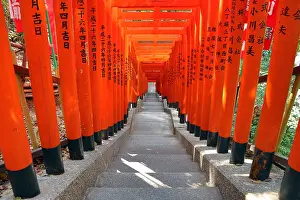 Gates: Tunnel of red Torii gates at the Hie Shrine in