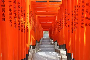 Gates: Tunnel of red Torii gates at the Hie Shrine in