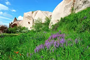 Dovecote: Turkey. Cappadocia. Uchisar. Flowers in the Pigeons