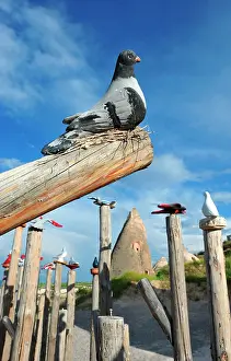Dovecote: Turkey. Cappadocia. Uchisar. Sculpture of pigeons