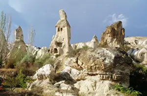Pigeons: TURKEY - Pigeon Valley
