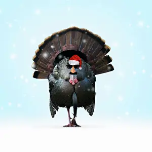 100817: Turkey, wearing Christmas hat and glasses disguise