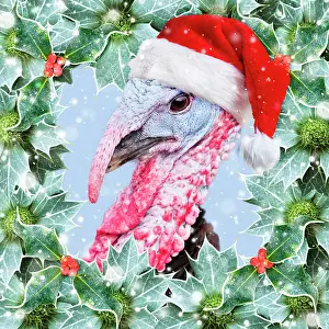 Captionabls: Turkey wearing Christmas hat surrounded by Holly