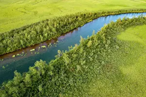 Norrbotten: Turquoise river flowing through lush green swamp