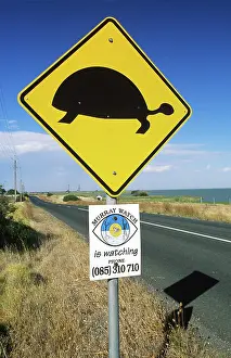 Signs: Turtle Crossing Sign, Australia