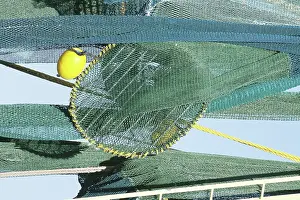 Trawler: Turtle Excluder Device (TED)