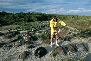 Poaching: Turtle Graveyard