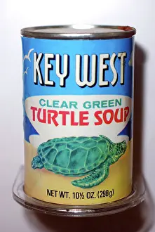 Soup: Can of Turtle Soup