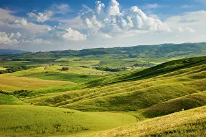 Fertile: Tuscan countryside near San Quirico in the